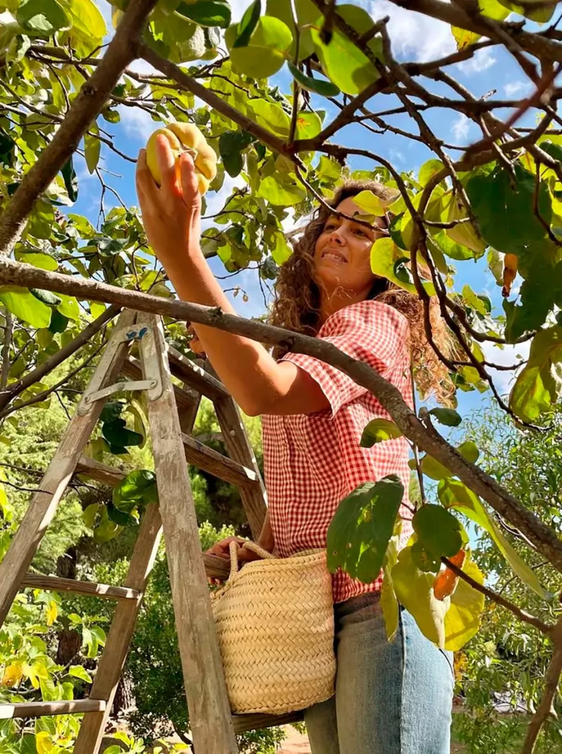 Laura Madrueño recogiendo fruta.