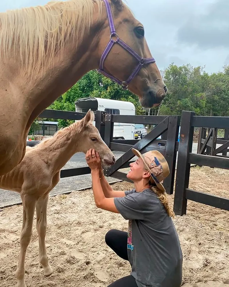 Elsa Pataky con sus caballos.