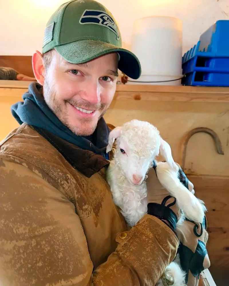 Chris Pratt con un corderito.