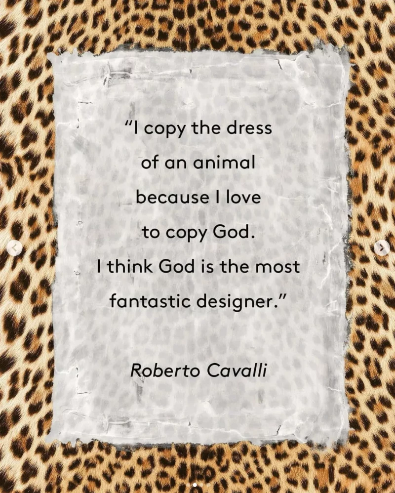 frase roberto cavalli