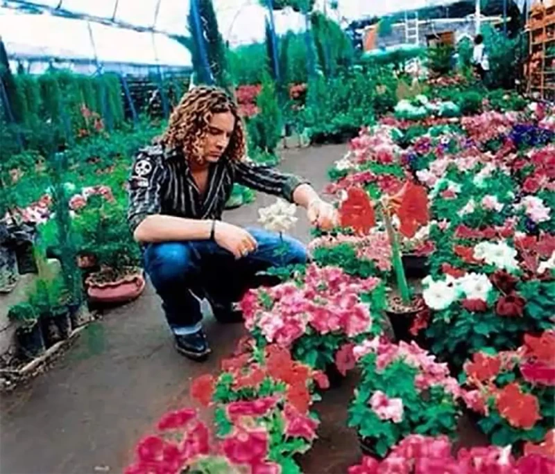 David Bisbal cuidando plantas