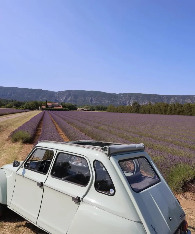 íñigo coche