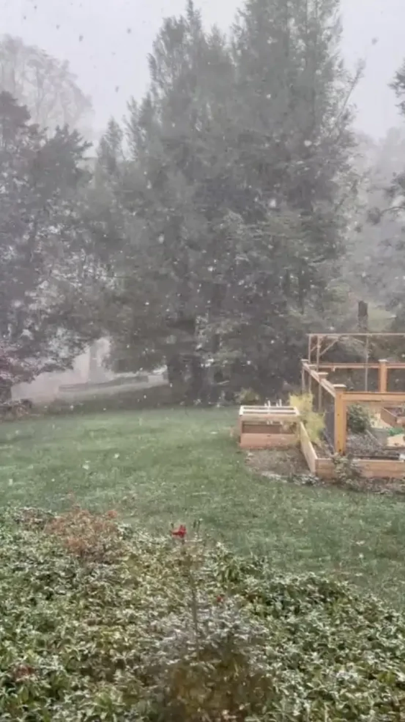 Alejandra Gere presume jardoín casa EEUU