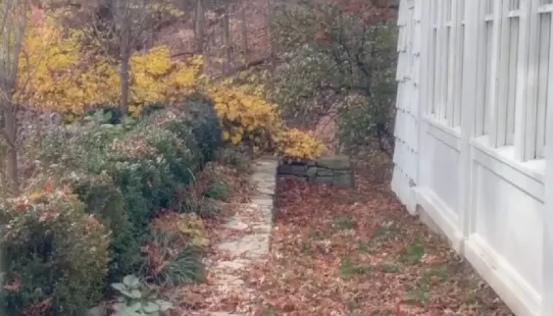 Alejandra Gere presume jardoín casa EEUU