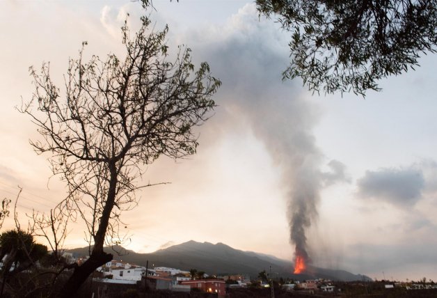 Las imágenes de destrucción son desoladoras.