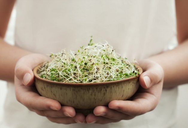 Añade germinados a tus comidas para mejorar tus digestiones