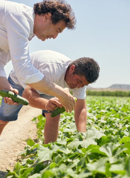 Pepe junto a Antonio que, junto a su familia, cultivan desde hace 30 años para Alvalle hortalizas frescas que recogen a mano, una a una. 