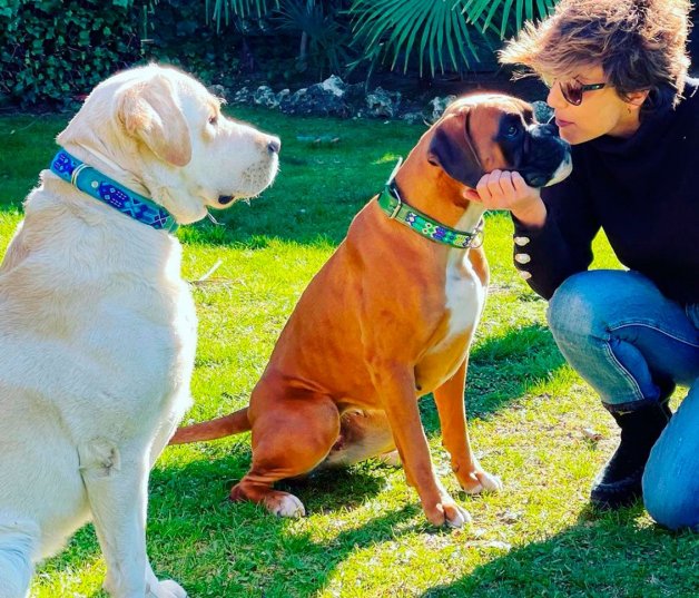 A Sonsoles le encanta pasear por el campo con sus perros.