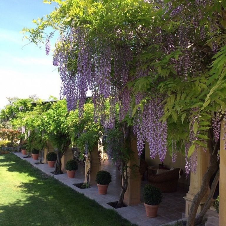 Los cuidados jardines de Cetrina.