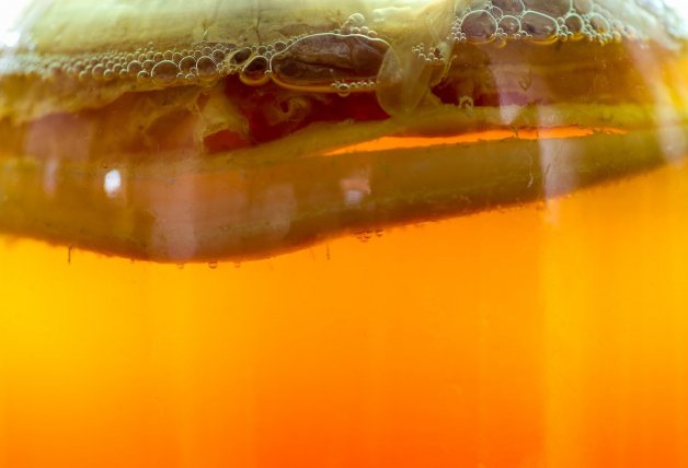 El scoby tiene forma de disco y normalmente sube a la superficie