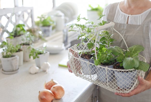 Cultiva tus propias verduras y hortalizas y apuesta por un consumo más natural y sano.