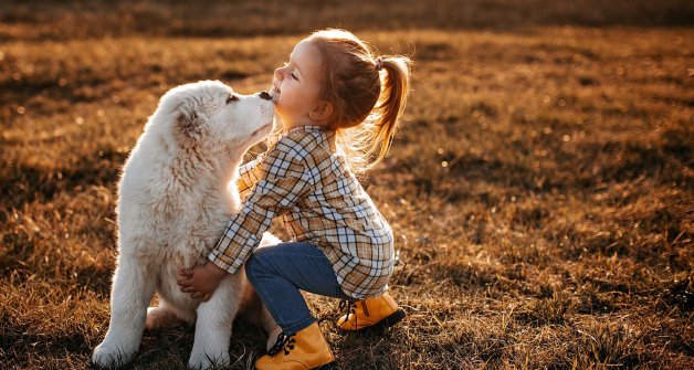 Factores de protección. La exposición moderada al sol o el contacto con perros en la infancia se considera que protegen en gran medida de la enfermedad.