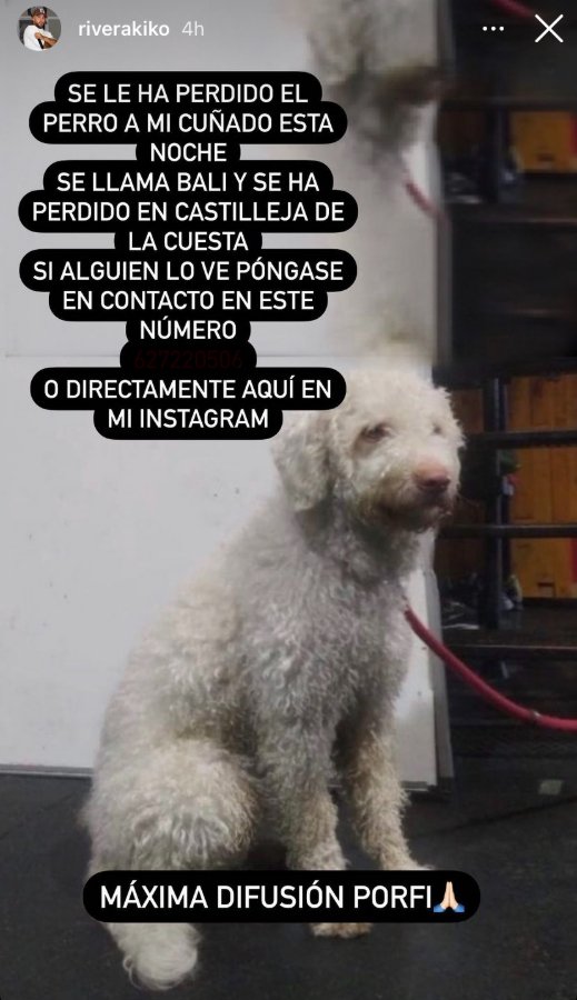 Kiko Rivera ha pedido ayuda para encontrar al perro de su cuñado (@riverakiko).