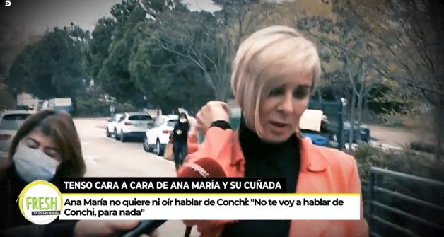 Ana María Aldón, hoy, ante los medios de comunicación (Telecinco).