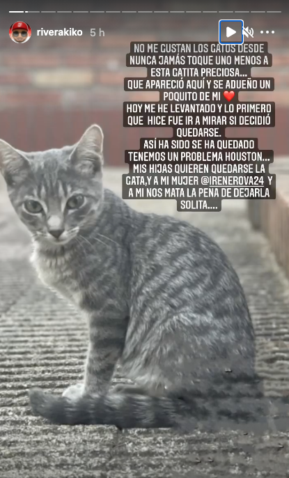 Kiko Rivera está encantado con la gatita