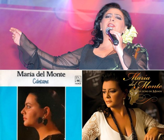 Una larga carrera; La sevillana ha publicado 19 álbumes desde que se inició como cantante.