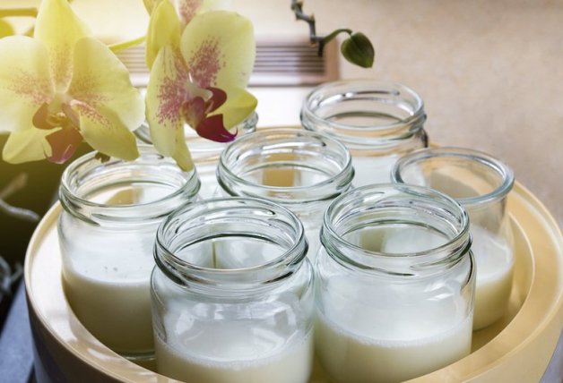 Opta por la leche entera para hacer yogur en casa.