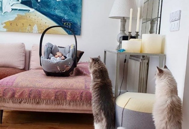 El bebé de María Adánez se lleva muy bien con los gatitos