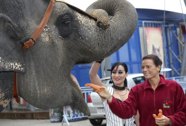 Estefanía de Mónaco se dedicó al circo.