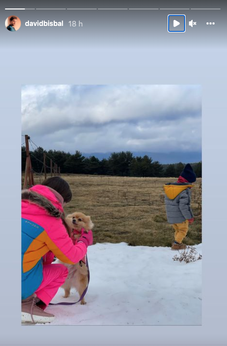 La familia al completo, incluido uno de los perritos, disfrutan de la nieve.