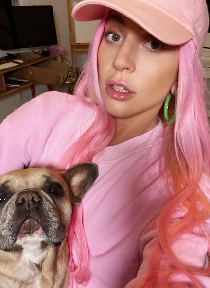 Lady Gaga junto a Koji, uno de los dos perros que han sido robados.