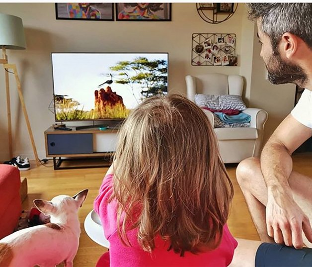 El presentador, Lola y Pepa viendo la tele. Aunque ahora su peque y su mascota se llevan de maravilla, no siempre ha sido así. De hecho, tanto él como Sara tuvieron miedo de que jamás llegasen a encajar. Te contamos la historia completa en este enlace.