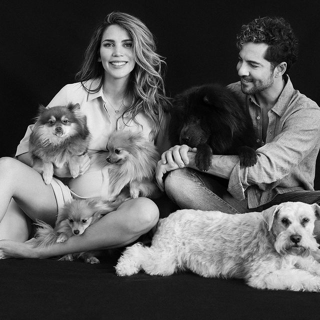 David Bisbal y Rosanna Zanetti posando con sus perritos. 