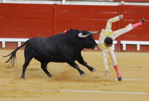 Enrique Ponce zarandeado por el toro en El Puerto de Santa María. La cogida no tuvo consecuencias graves.