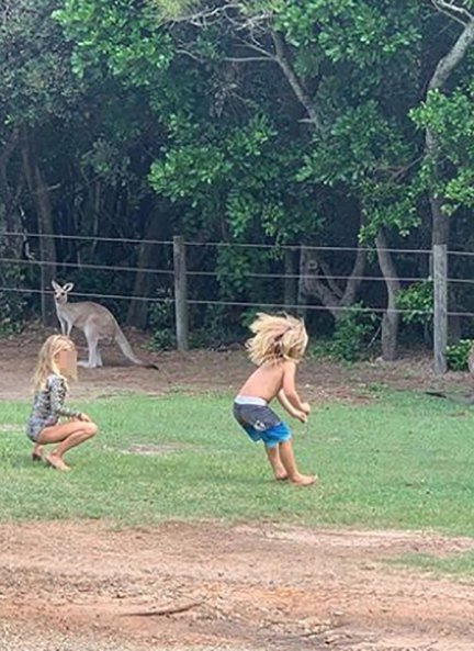 Los hijos de Elsa y Chris Hemsworth divirtiéndose con un grupo de canguros.