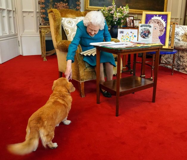 Isabel es muy consciente del "tirón" mediático que tienen sus corgis... 