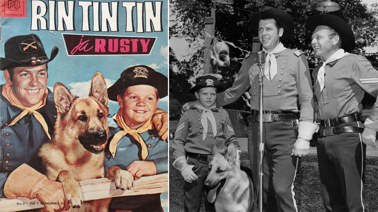 cartel rintintin