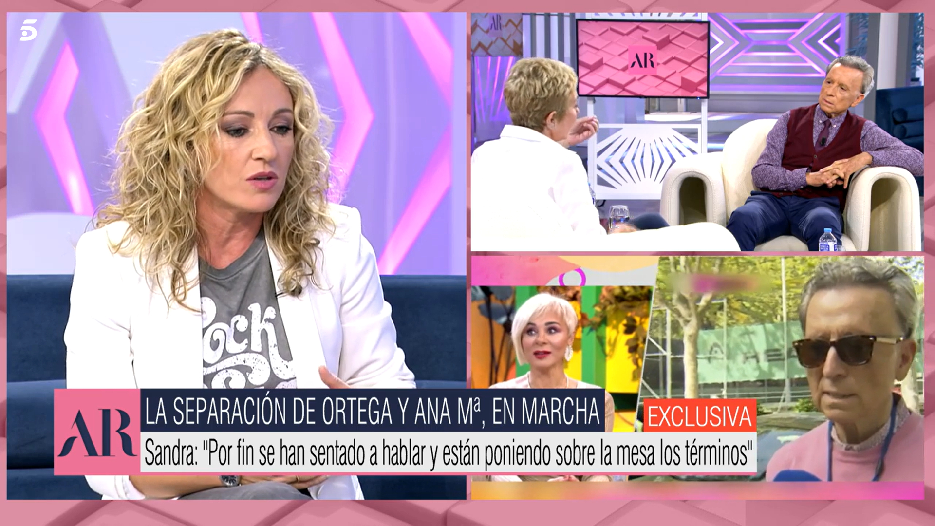 Sandra Aladro ha dado detalles sobre el divorcio de Ana María y Ortega Cano.
