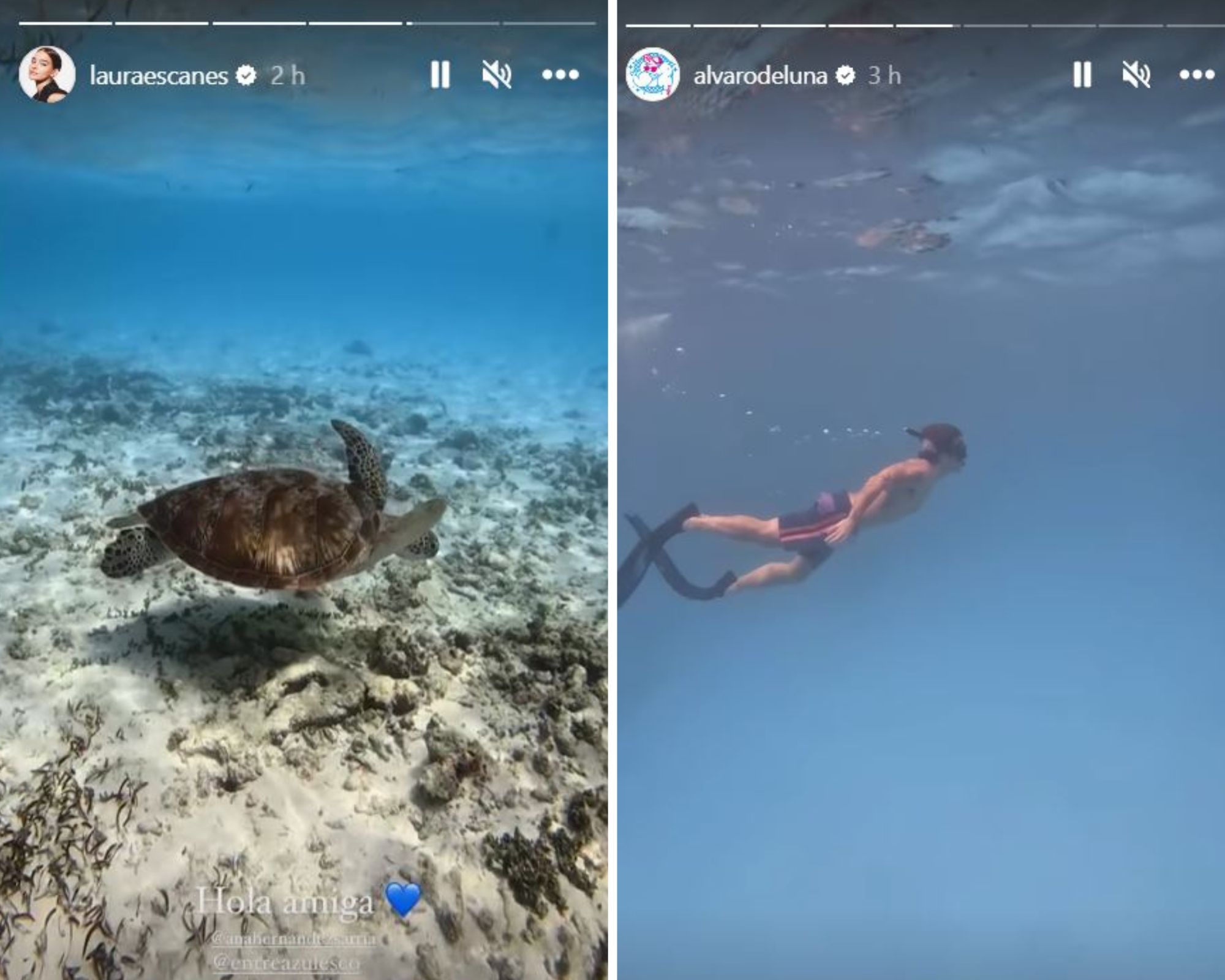 Laura y Álvaro nos han enseñado imágenes de sus sesiones de buceo.