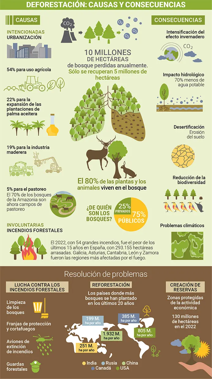 Infografía sobre el estado de los bosques.