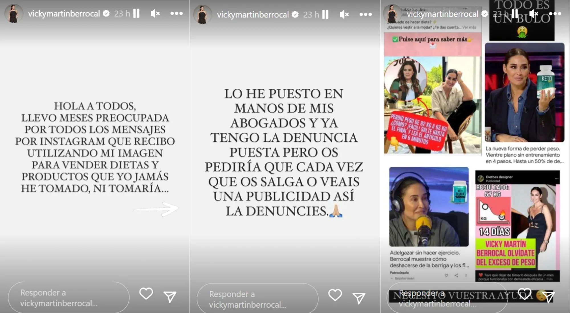 Vicky Martín Berrocal ha pedido ayuda a sus seguidores (Instagram)