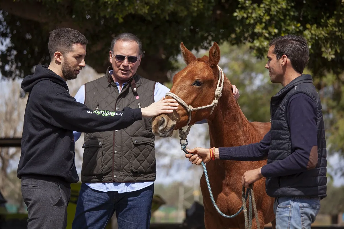 En el programa de David Broncano pudimos ver los caballos de Bertín Osborne.