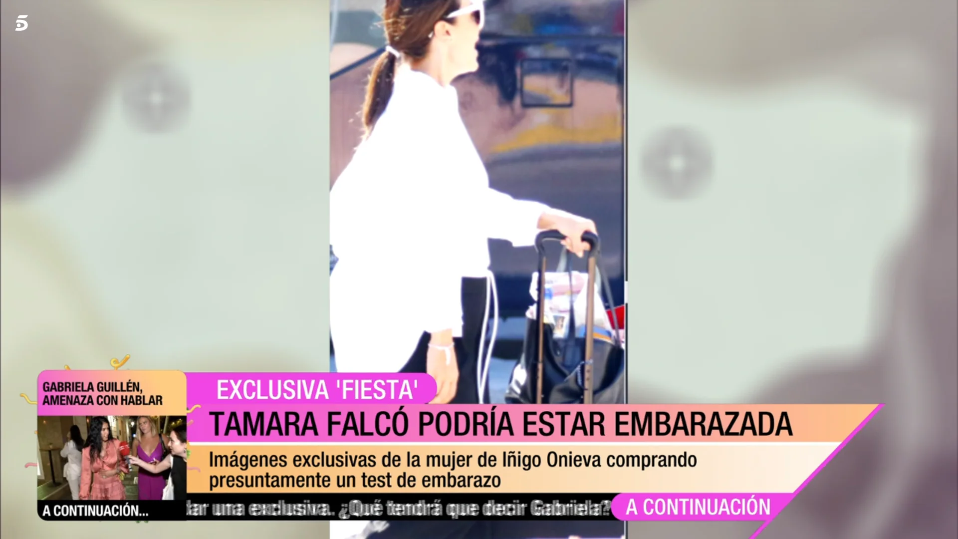 tamara falco embarazo