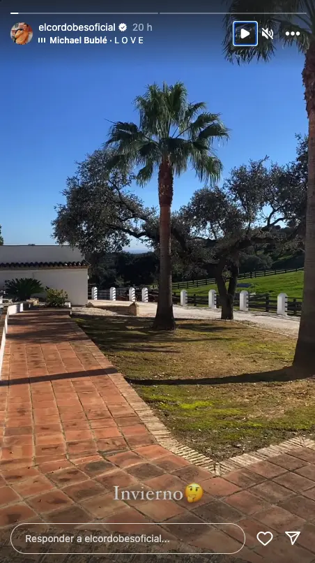 Captura de story del vídeo del jardín de Manuel Díaz