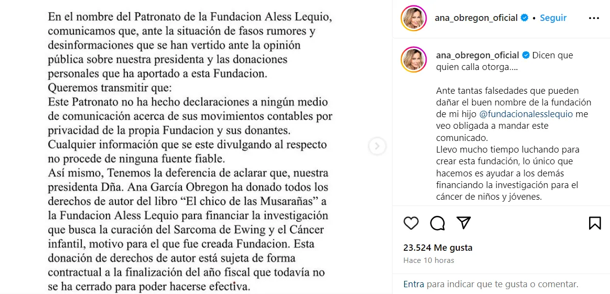 ana obregon fundacion