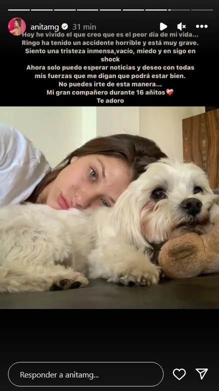 anita matamoros perro