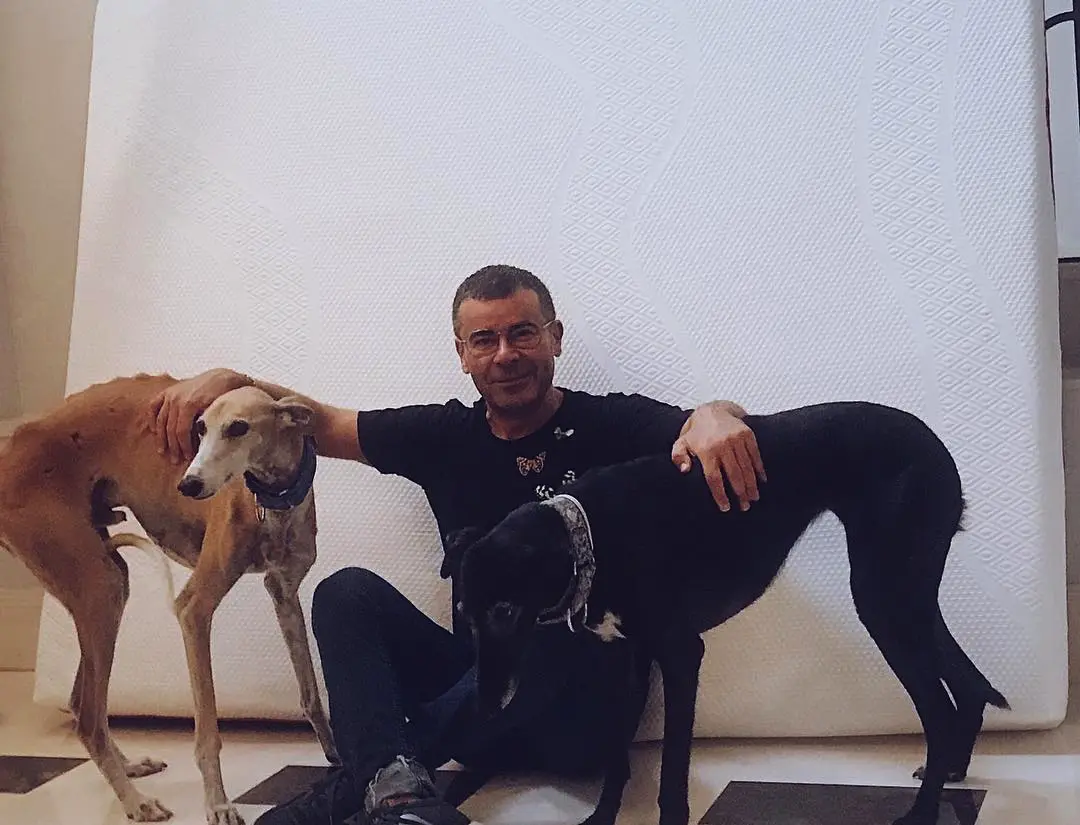 Jorge Javier con su perra Lima, fallecida en enero de 2024