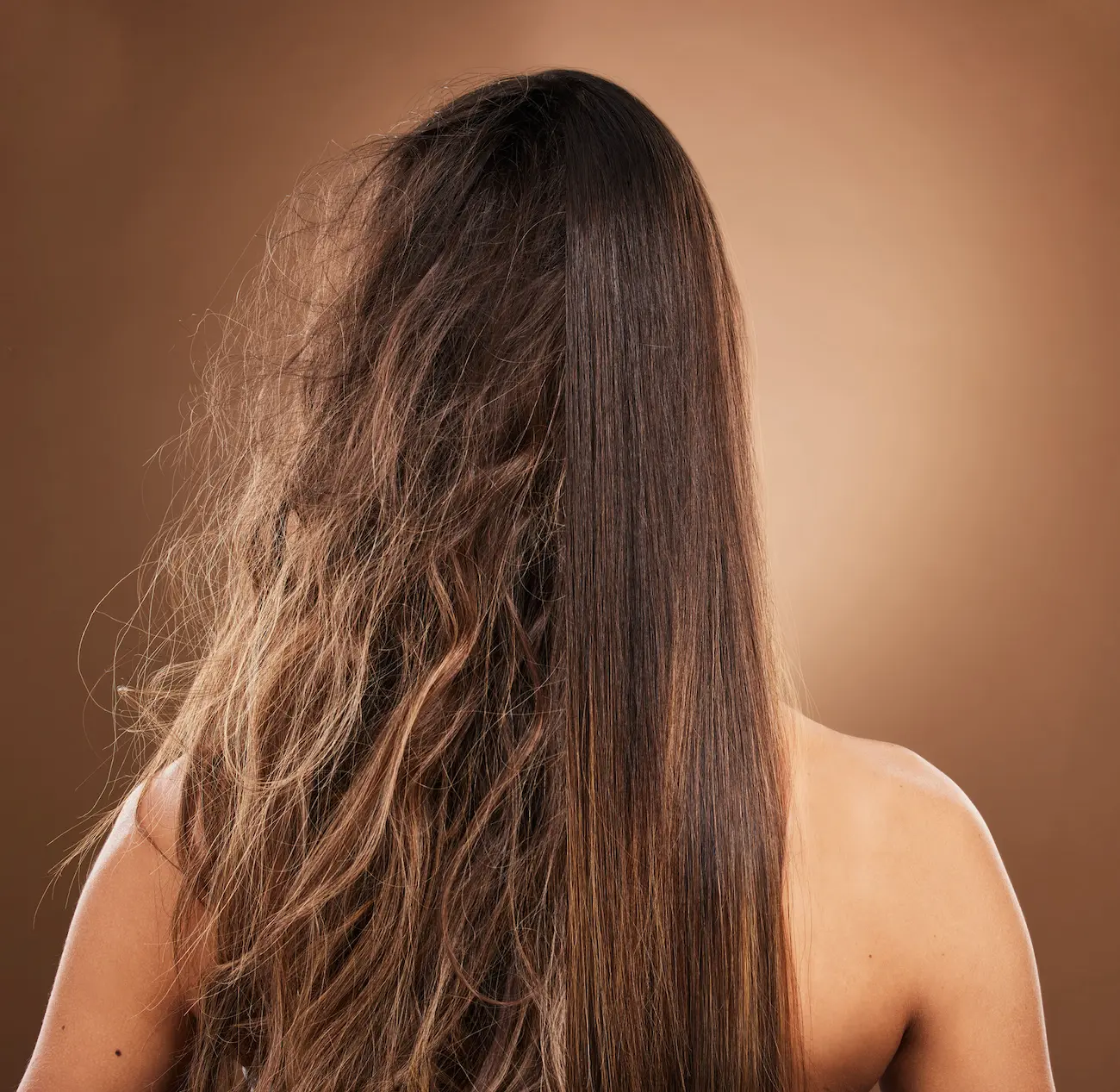 Frizz, daño por calor y cabello de una mujer aislada sobre un fondo marrón en un estudio. Espalda, tratamiento de salón y dama que muestra resultados del tratamiento de keratina, antes y después de un procedimiento de peluquería