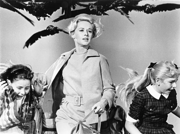 tippi hedren los pajaros