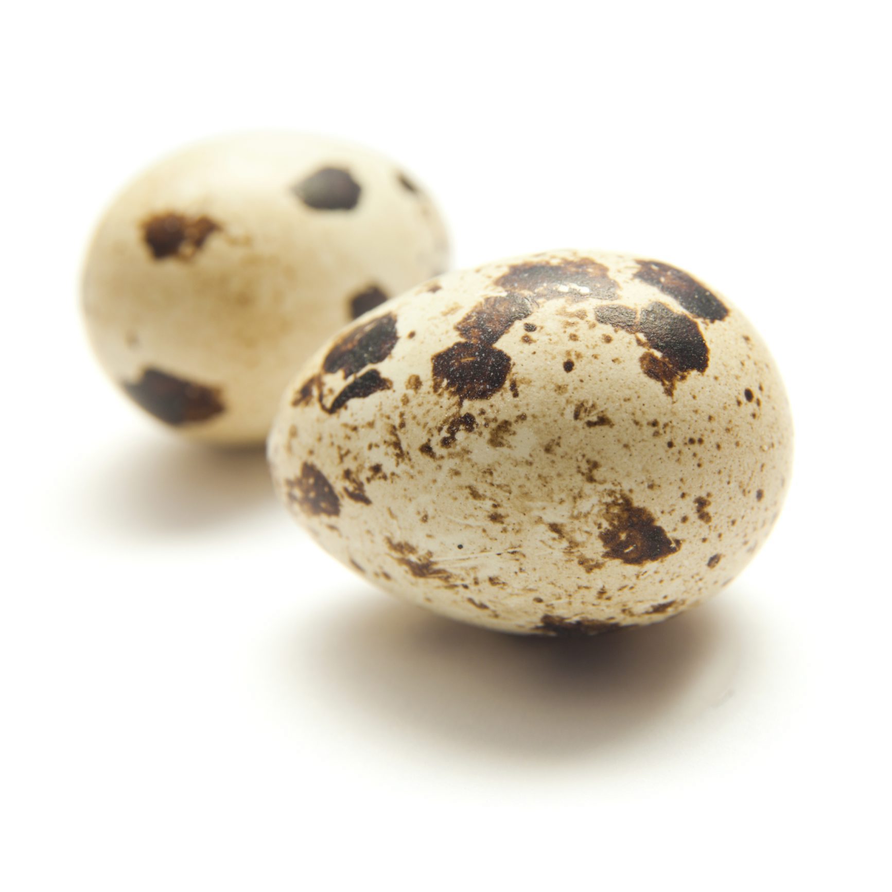 Los huevos de codorniz pueden ayudarte a darle un toque especial a tus champiñones rellenos de atún y pimientos.