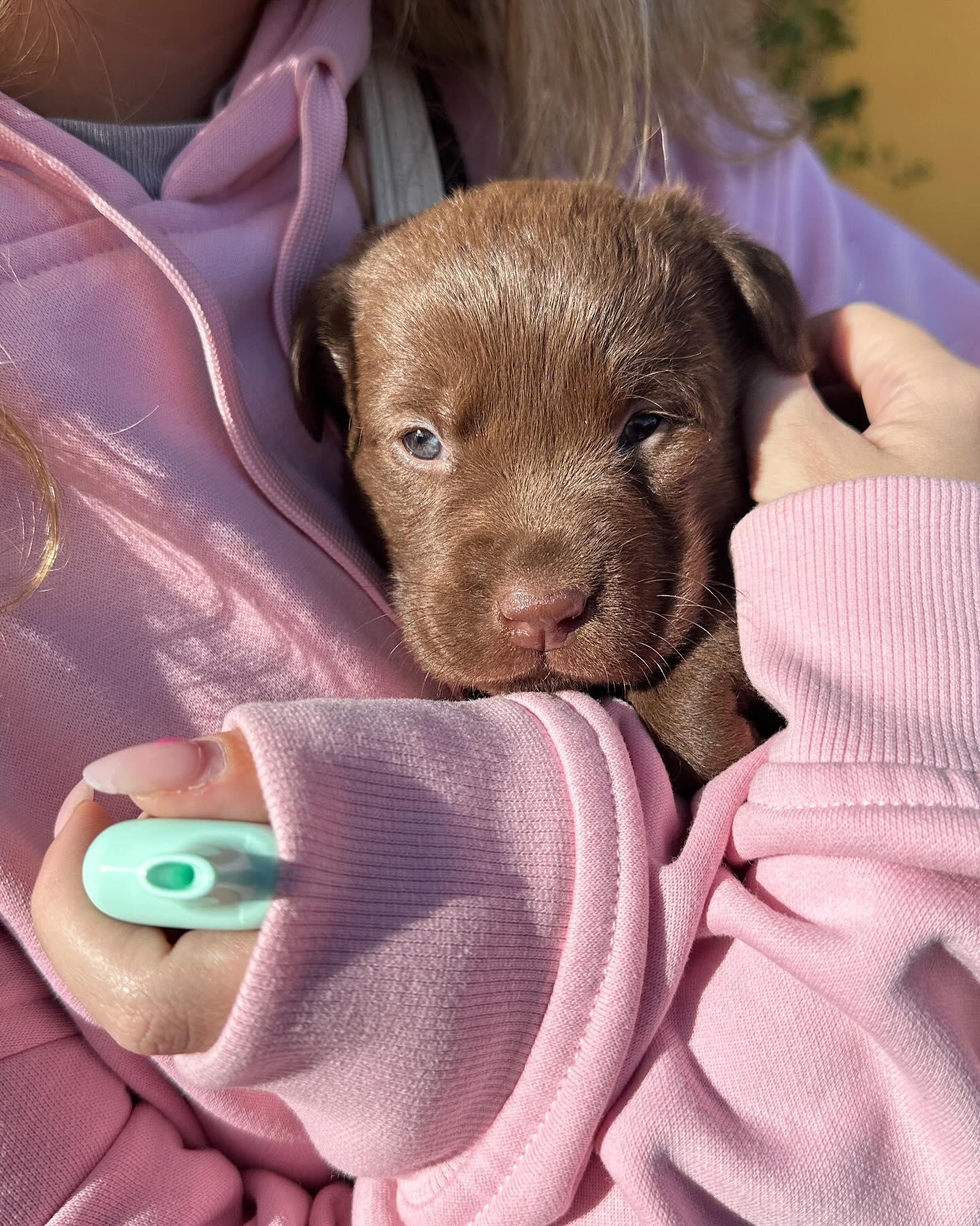 Rocío Flores con su perrita Roma.