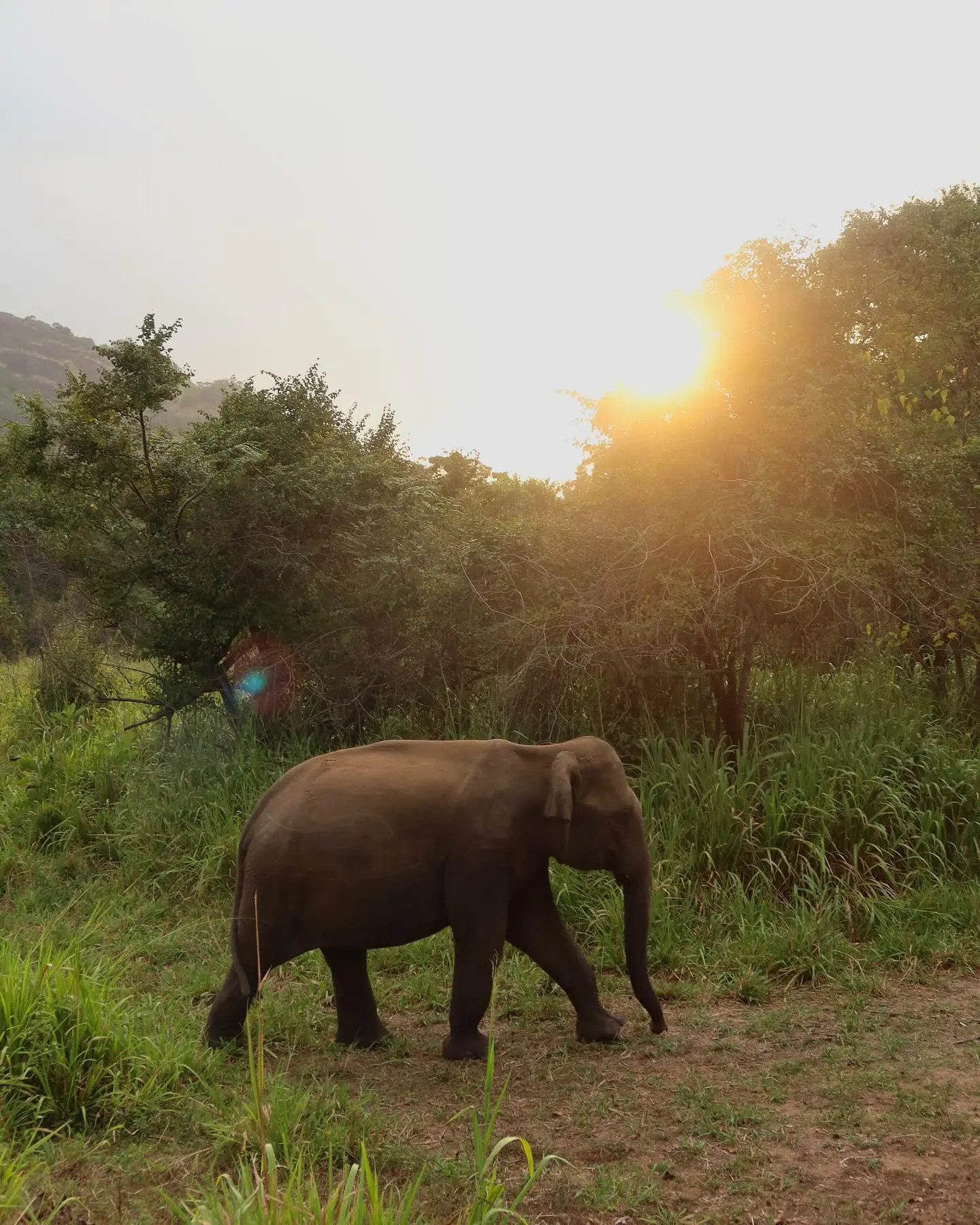 Victoria Federica comparte sus mejores momentos en Sri Lanka.