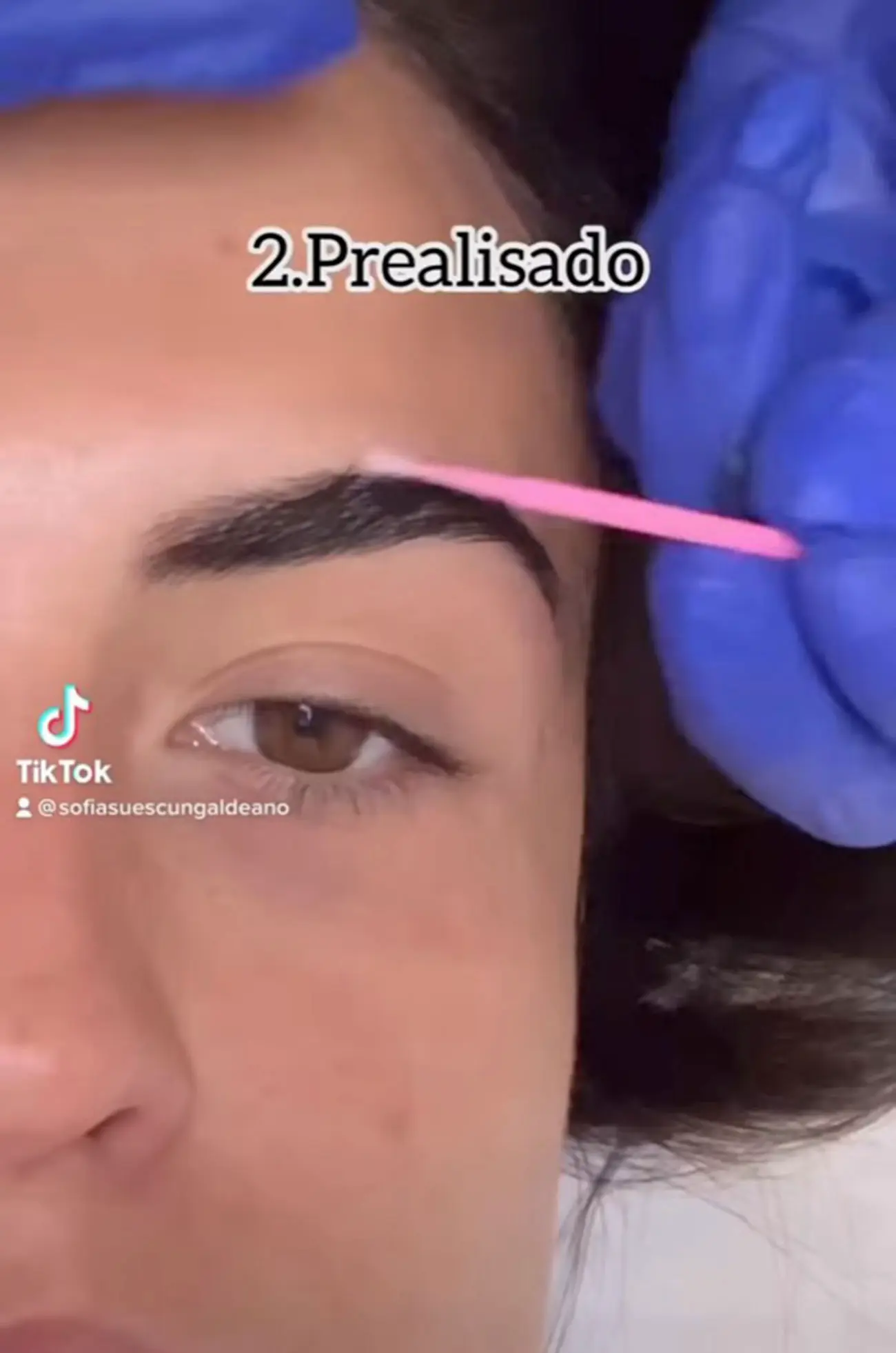 Sofia Suescun laminado de cejas paso