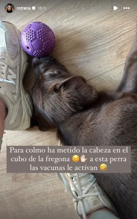 Rocío Flores presume de lo bien que se lo pasa con su perrita y su hermano David.