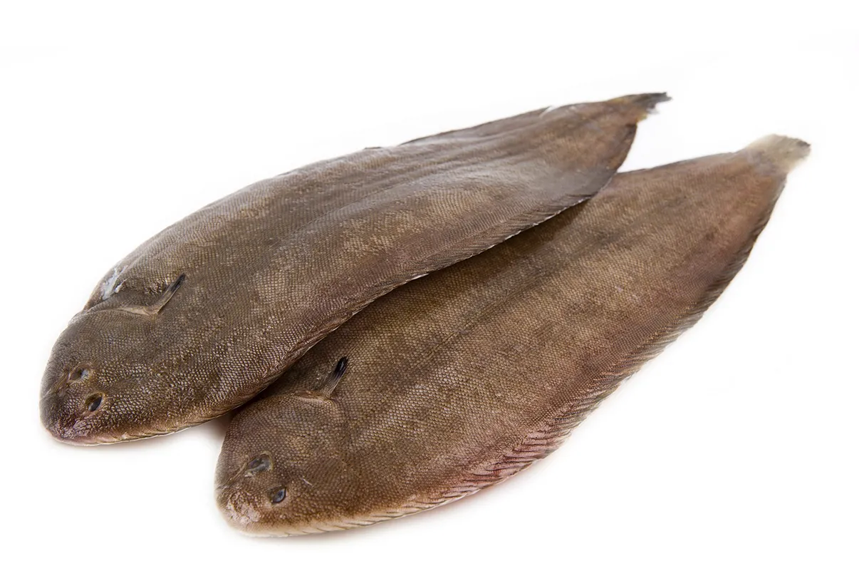Lenguado