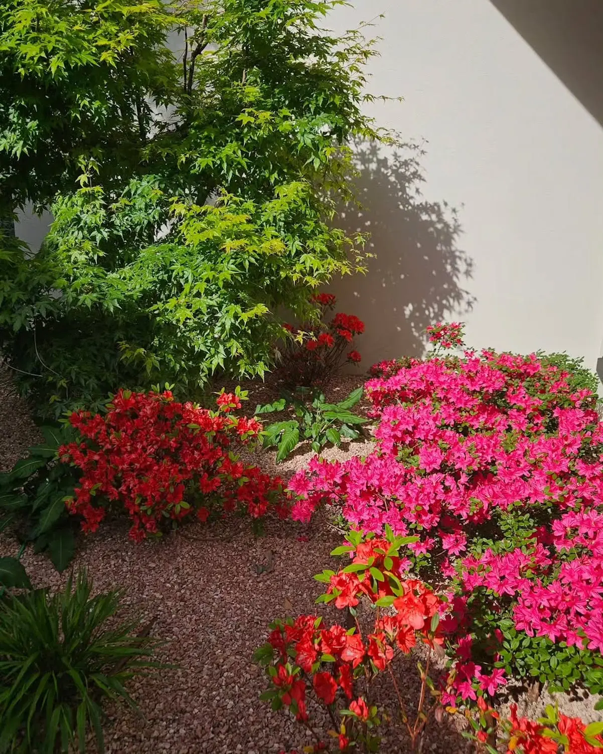 Casa Isabel Jiménez Madrid Jardín